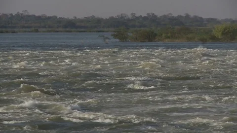 River water Stock Footage 81495838