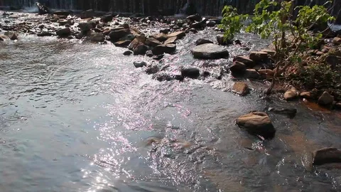 River water Stock Footage 100798100