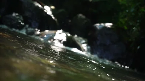 River water Video stock 194116443