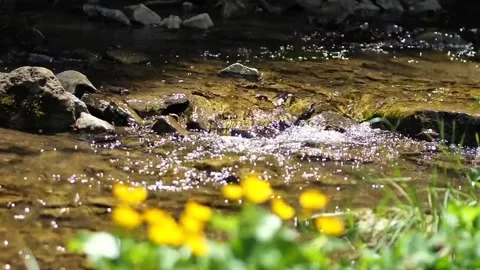 River water Stock Footage 225226396
