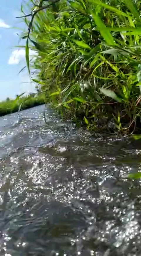 River water Video stock 231288152