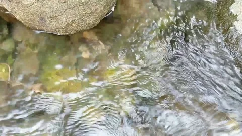 River water Stock Footage 235596183