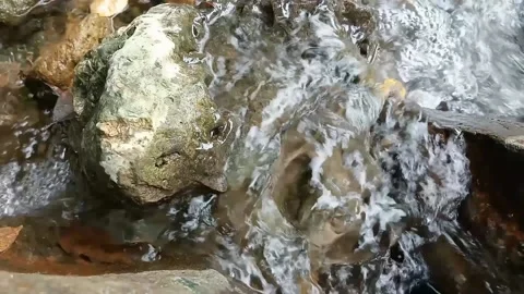 River water Stock Footage 235596329