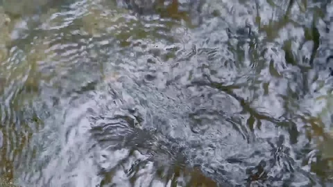 River water Stock Footage 235597434