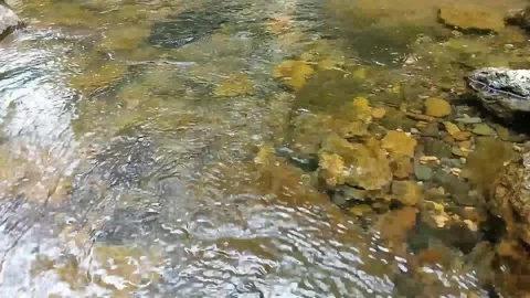 River water Stock Footage 235597918