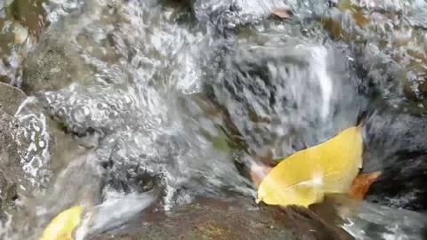 River water Stock Footage 235599980