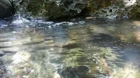 River water Stock Footage 235600199