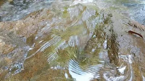 River water Stock Footage 236061464