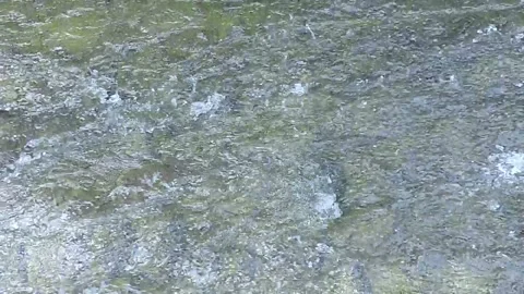 River water Stock-Footage 279086428