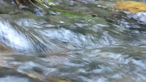 River water Stock-Footage 279086669