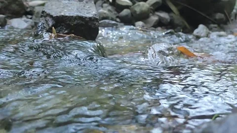 River water Stock-Footage 279086677