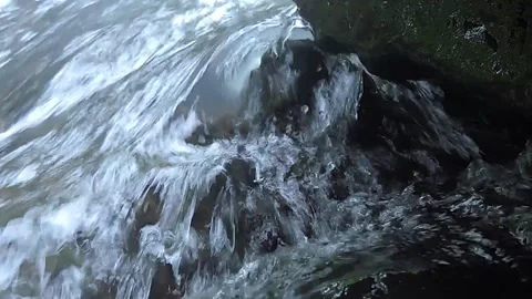 River water Stock-Footage 279482111