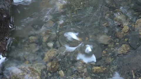 River water Stock-Footage 279482150