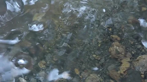 River water Stock-Footage 279482151