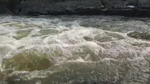 River water Stock Footage 308442296