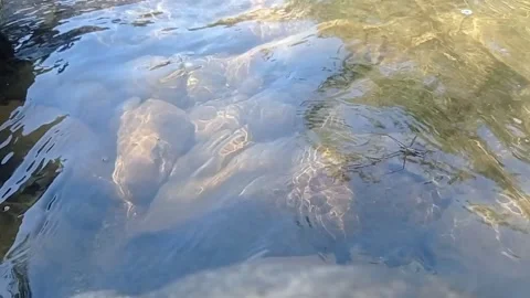 River water Stock Footage 330208596