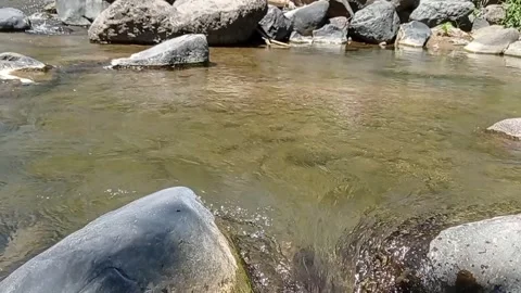 River water Stock Footage 330208969