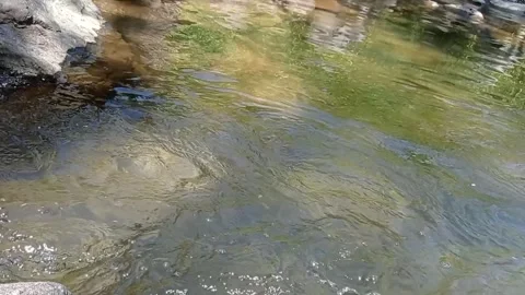 River water Stock Footage 330209169