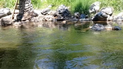 River water Stock Footage 330209210