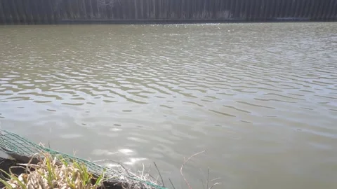 River Water Stock Footage 335941518