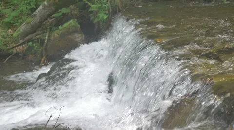 River water forest nature 4K Stock Footage 52089967