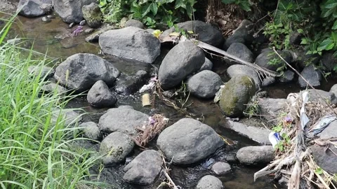 River water with garbage stuck on rocks. Stock Footage 163195289