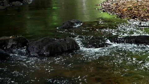 River water gushing down stream obstructed by dark wet rocks 動画素材 92899409