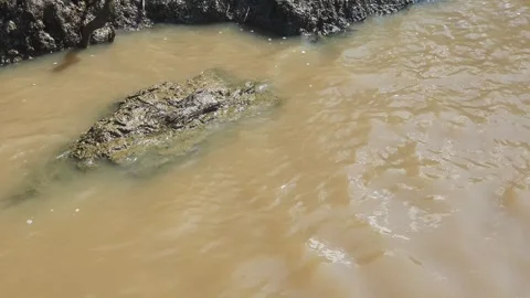 The river water has small waves that flow onto the riverbank 库存影片 337234694