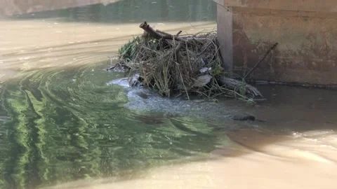 River water - impact object - river water surface Stock Footage 258110798