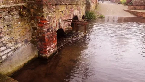 River water levels Stock Footage 301788540