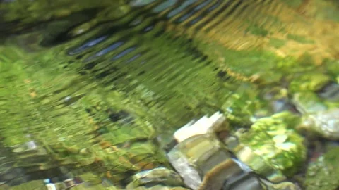River Water in Mountains, Clear Spring Fresh Waterfall Transparent Alpine Stream Stock-Footage 346681349