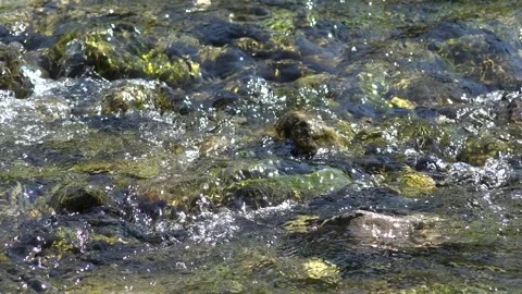 River Water in Mountains, Clear Spring Fresh Waterfall Transparent Alpine Stream Stock-Footage 346681712