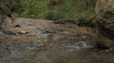 River, Water, Nature Stock Footage 41658202
