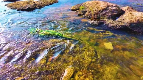 River Water Obstructed by Waste Clothes Stock Footage 263355737