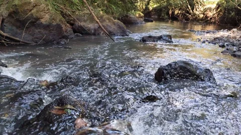River water passing between the rocks in the middle of nature in Brazil.  Stockbeeldmateriaal 153722213