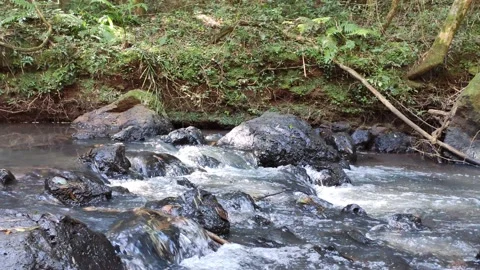 River water passing between the rocks in the middle of nature in Brazil.  Stock Footage 153722378