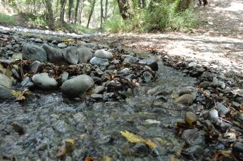River Water Stock Photos