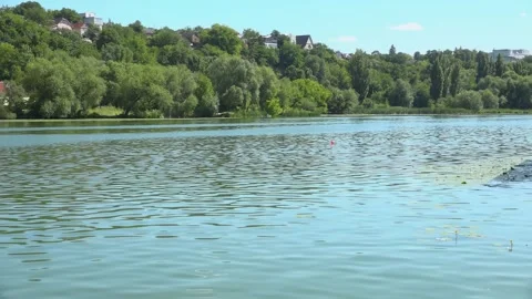 River water pollution during hot summer periods. Stock Footage 342118347