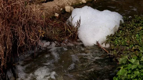 River Water Pollution Foam Contamination Close Up India Stock Footage 335031535