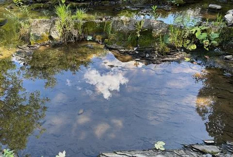 River water reflection in Ostravice. Stock Photos