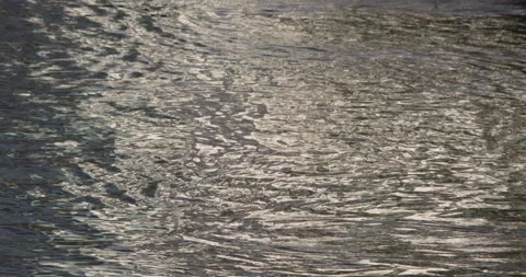 River water reflection sunlight shimmer fluid constant change Stock Footage 151359126
