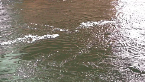 River Water Ripples and Reflections in the Afternoon Sun Stock Footage 230390540