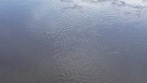 River water ripples, high angle Stock Footage 308157436