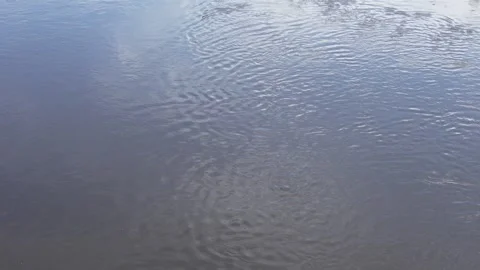 River water ripples, high angle, slow motion Stock Footage 308157514