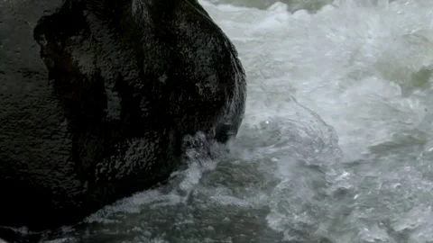 River water ripples hitting rocks on the river bank Stock Footage 297731947