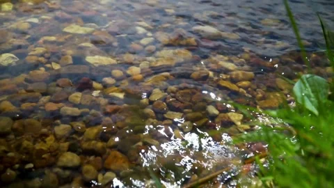 River water ripples over smooth colorful stones Video stock 333874507