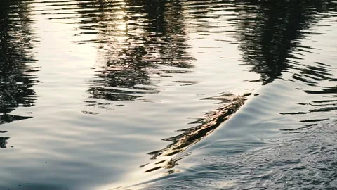 River. Water in the river at sunset time. Stock Footage 115078616