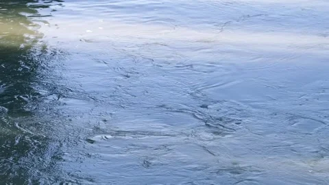 River water, river surface, water surface - water flow ripples Vídeo Stock 258110948