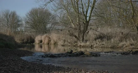 River Water Running Through Rocks Stock Footage 170134589