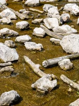 River Water Running Through Stones And Wood Stock Photos